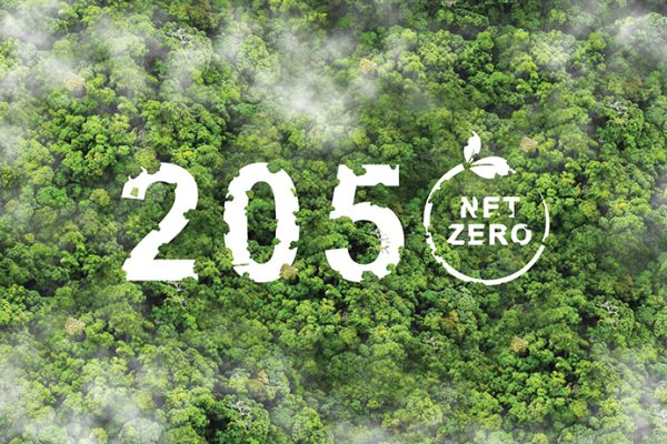 Net zero by 2050. Carbon neutral. Net zero greenhouse gas emissions target. Climate neutral long term strategy. No toxic gases.Top view Net zero by 2050. Carbon neutral. Net zero greenhouse gas emissions target. Climate neutral long term strategy. No toxic gases.Top view