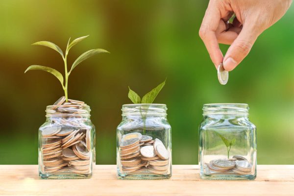 cropped-image-of-hand-putting-coins-in-jars-with-plants-755740897-5ab88ee1875db9003759d390 cropped-image-of-hand-putting-coins-in-jars-with-plants-755740897-5ab88ee1875db9003759d390